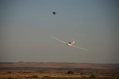 Swellendam Soaring with Brother and father from Australia